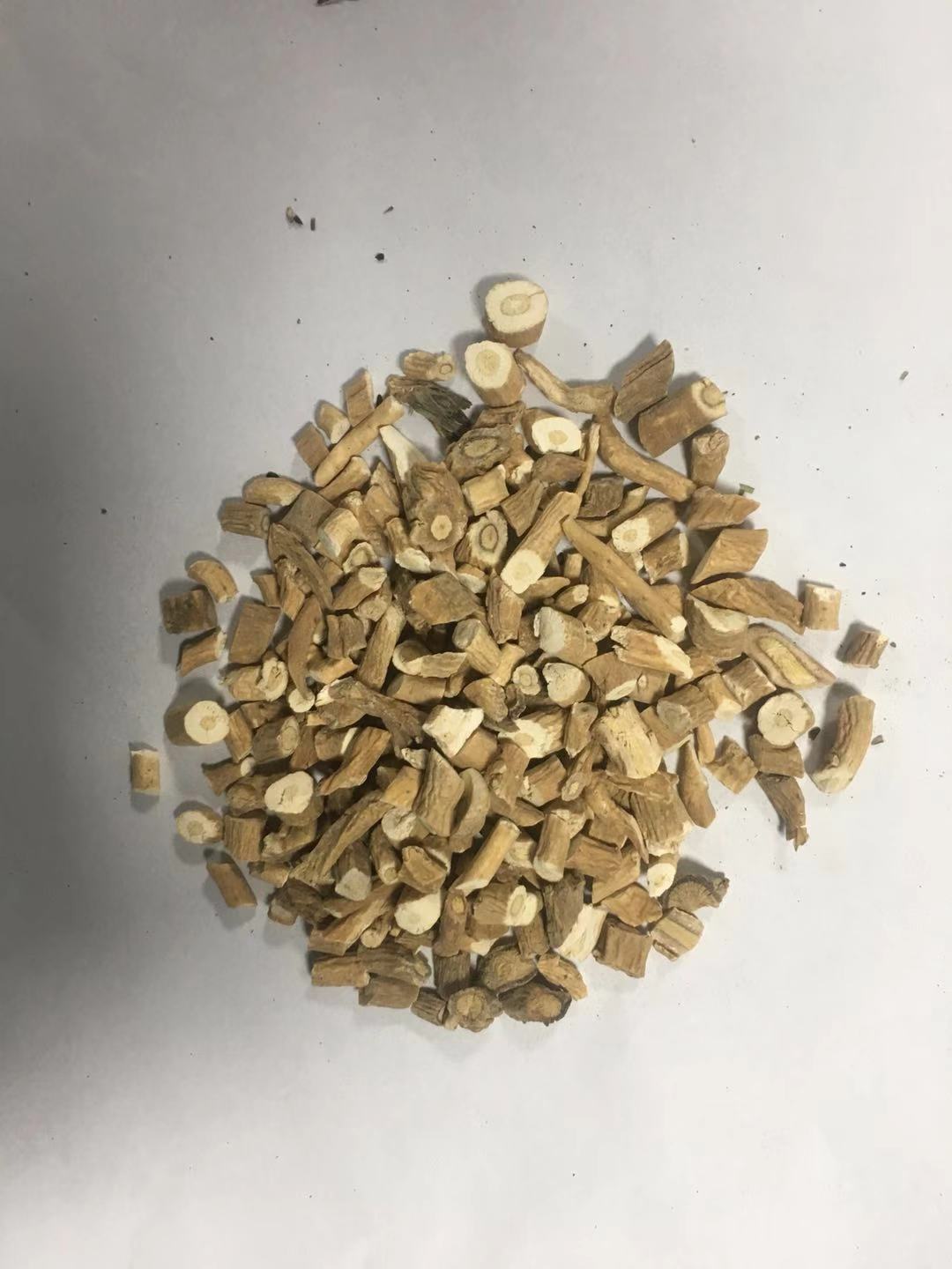 板藍根 ISATIDIS RADIX