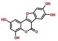 普菲德專題產品推薦-墨旱蓮系列(圖5) 普菲德專題產品推薦-墨旱蓮系列(圖5)